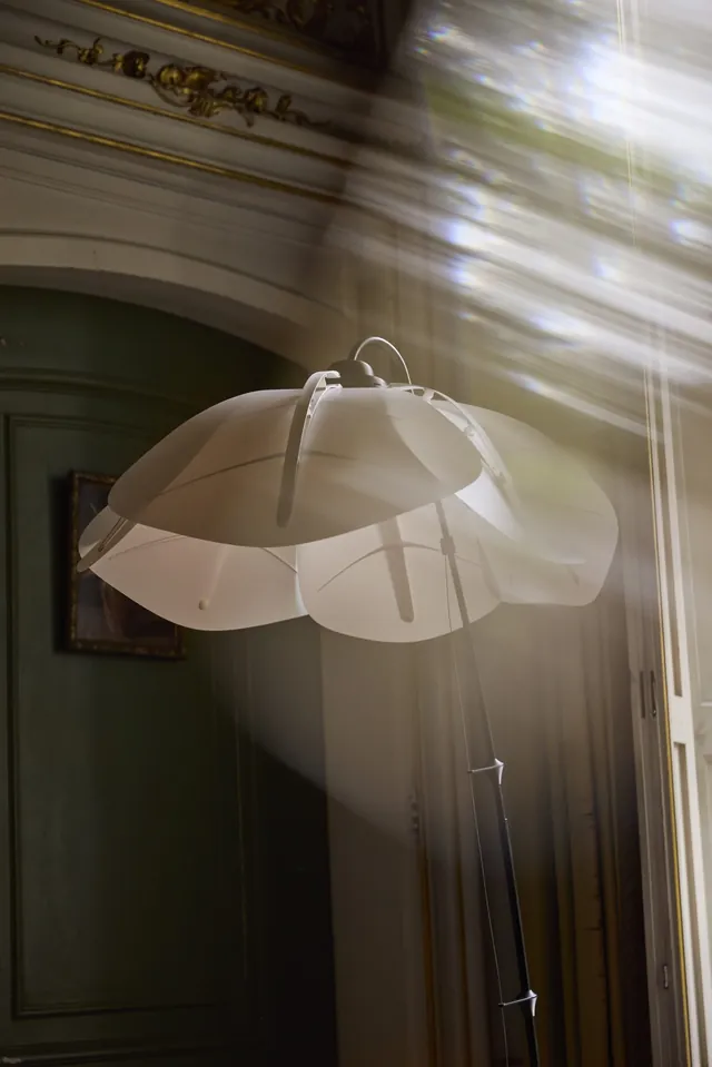Bloomlight S - Interactive Floor Lamp - photo 4 of 11