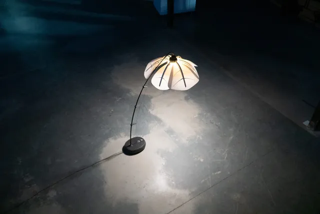 Bloomlight S - Interactive Floor Lamp - photo 8 of 11
